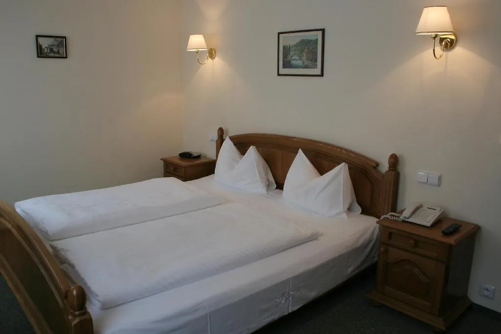 Villa Rosa Karlovy Vary Guest house